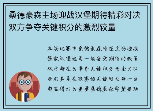 桑德豪森主场迎战汉堡期待精彩对决双方争夺关键积分的激烈较量